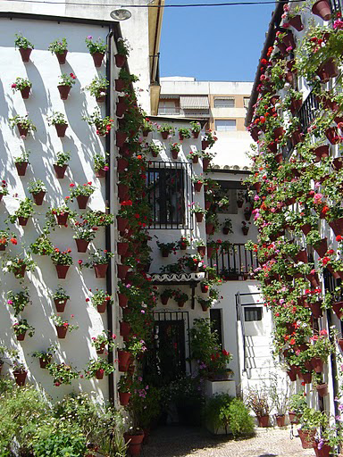 court yard floral display