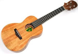 Ukulele