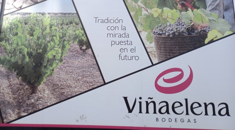 Wine Group Day Trip to Bodegas Viña Elena - 13th February 2025